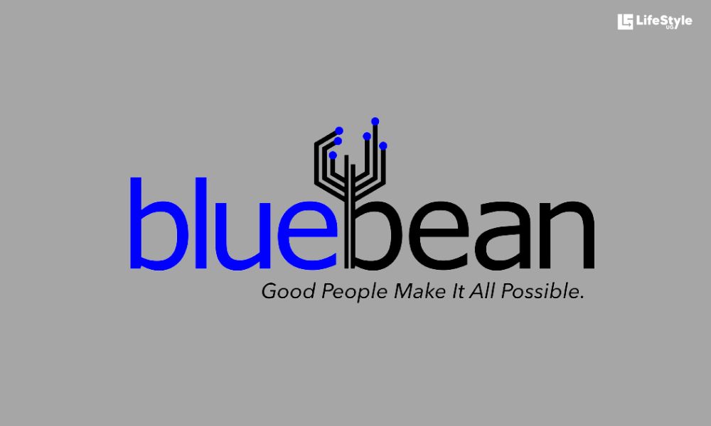 10 Best Credit Cards In South Africa 2023 Latest List